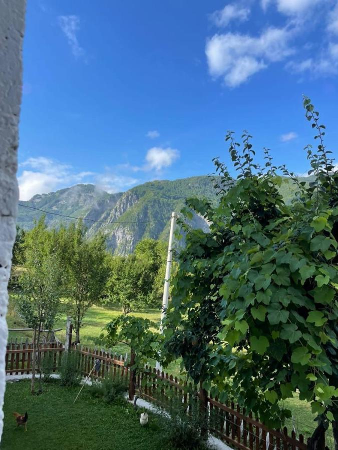 Marash Rrgalla Guesthouse テス エクステリア 写真