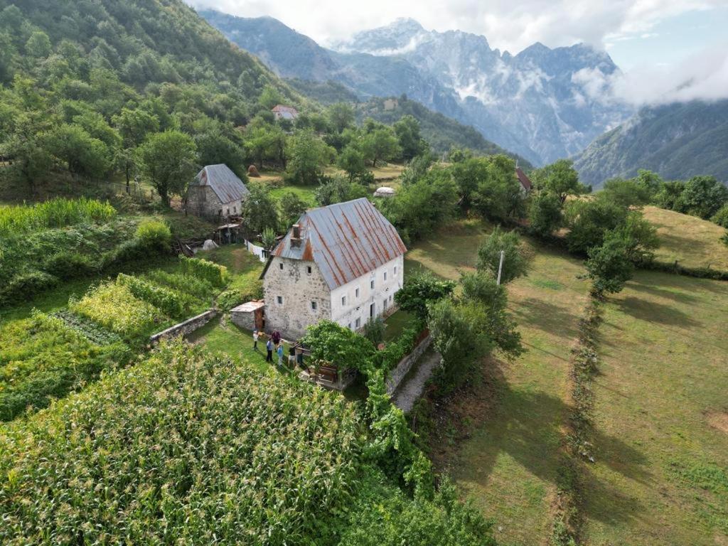Marash Rrgalla Guesthouse テス エクステリア 写真