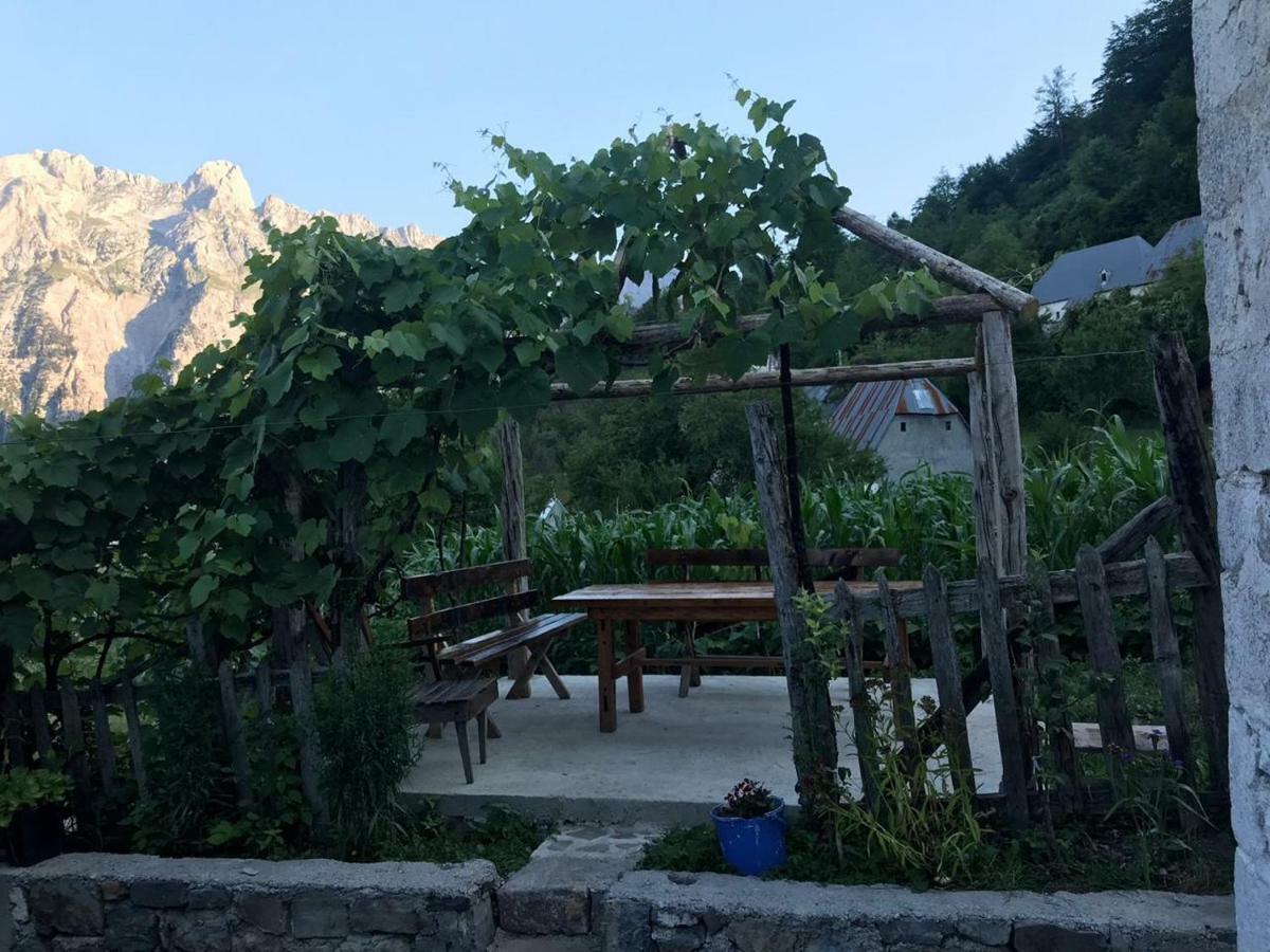 Marash Rrgalla Guesthouse テス エクステリア 写真