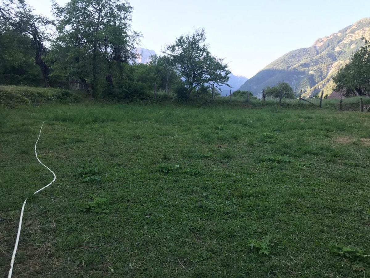 Marash Rrgalla Guesthouse テス エクステリア 写真